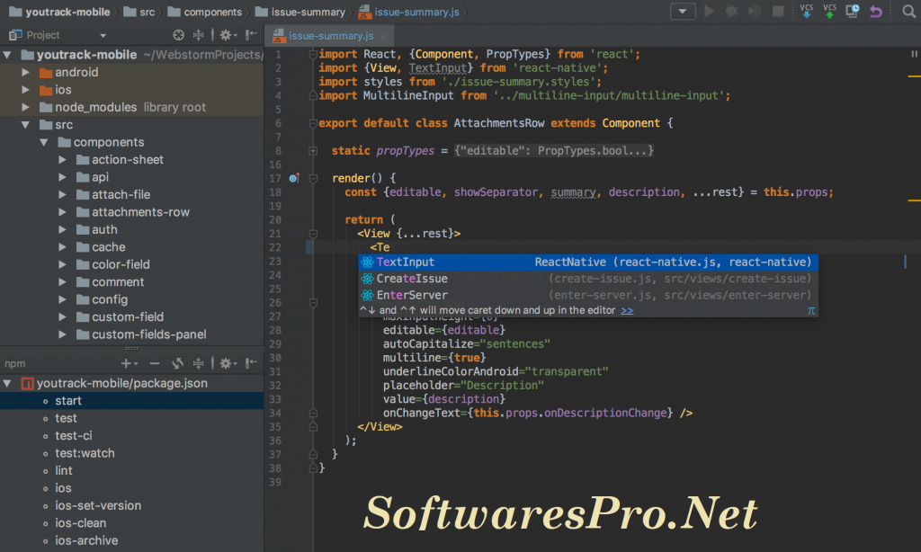WebStorm 2018 License Key