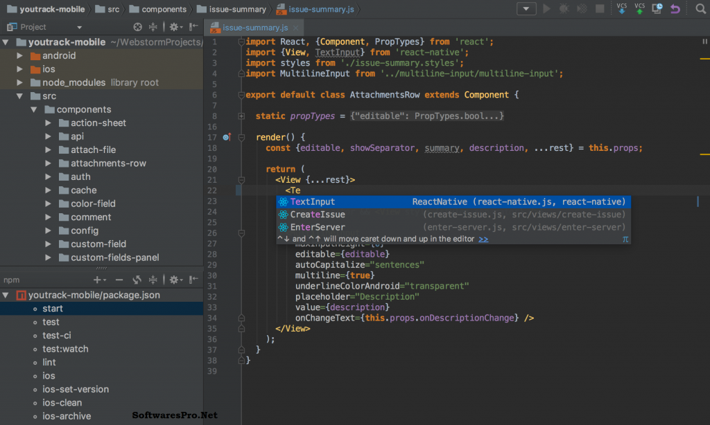 JetBrains WebStorm License Key