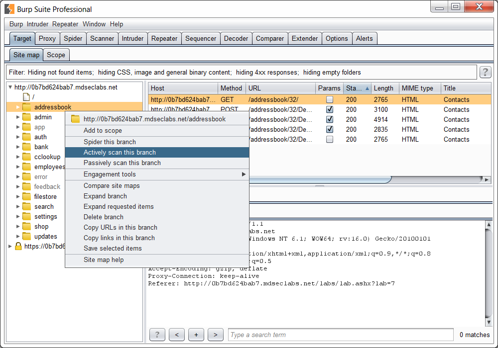 Burp Suite Pro License Key