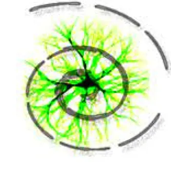 3Delite Video File Browser Crack