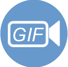 ThunderSoft Video to GIF Converter Crack