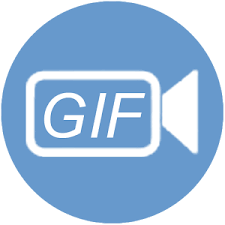 ThunderSoft Video to GIF Converter Crack
